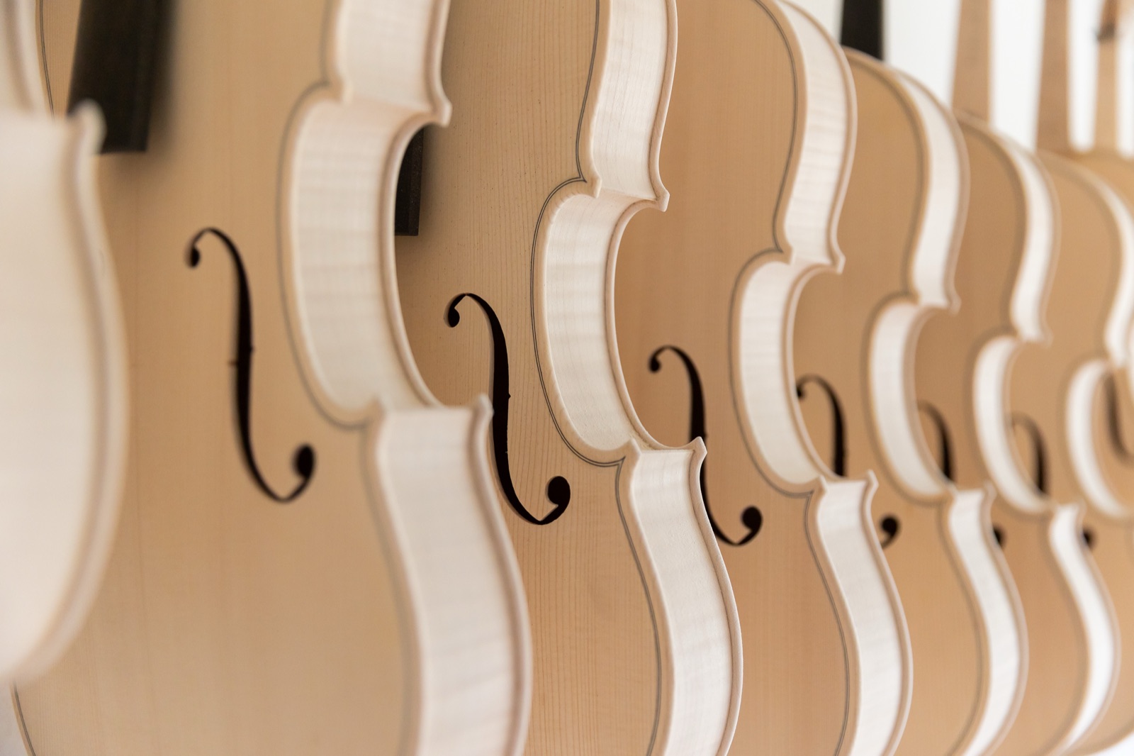 Luthier working on a string instrument